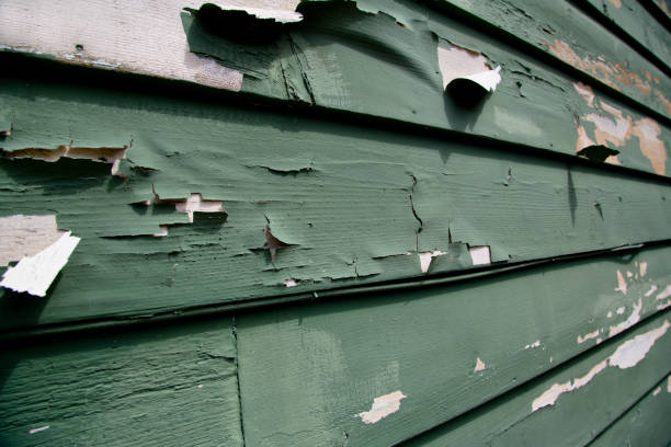 Best Garage Cleanout  in Honeoye Falls, NY